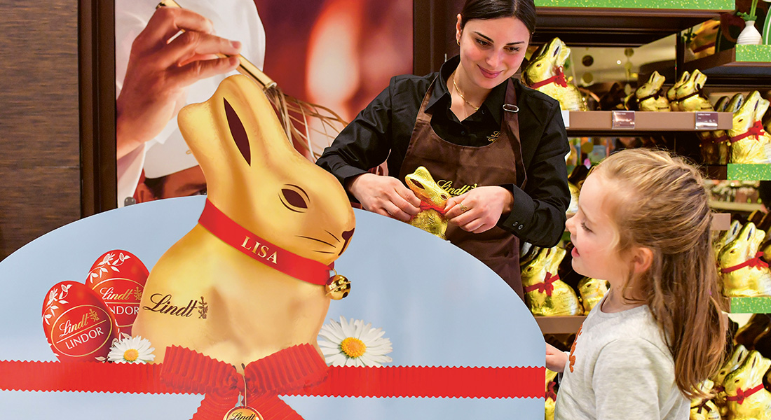 Personalized collar on a Gold Bunny (Photo)